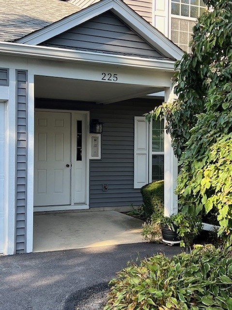 225 Hampshire Court #101-A1, Naperville, IL 60565