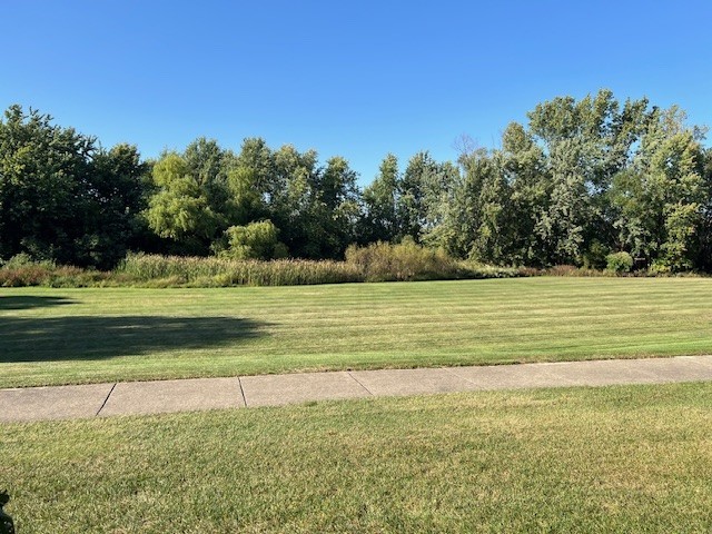 225 Hampshire Court #101-A1, Naperville, IL 60565