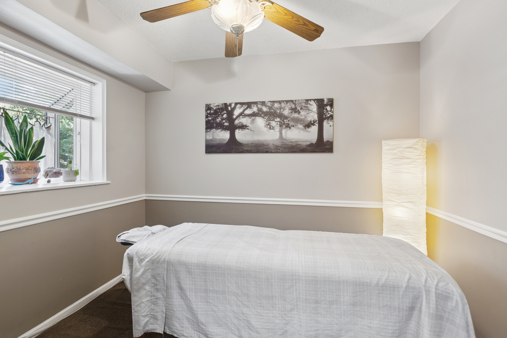 229 W Ogden Avenue, Naperville, IL 60563