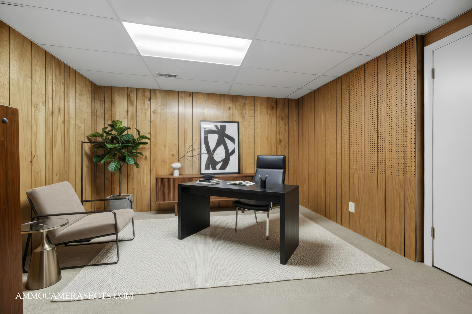 1206 Wheaton Oaks Drive, Wheaton, IL 60187