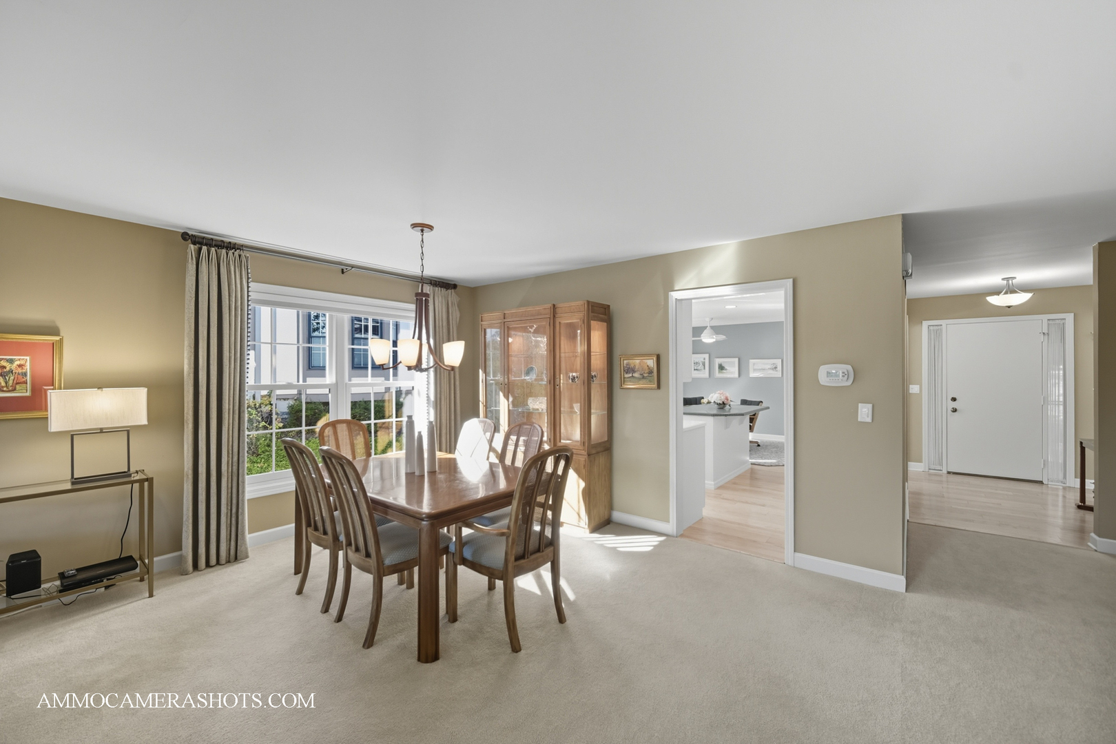 1206 Wheaton Oaks Drive, Wheaton, IL 60187