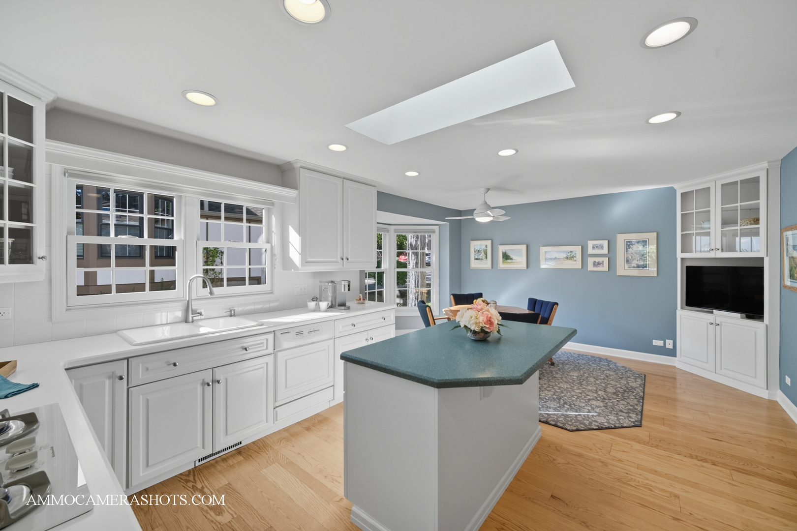 1206 Wheaton Oaks Drive, Wheaton, IL 60187