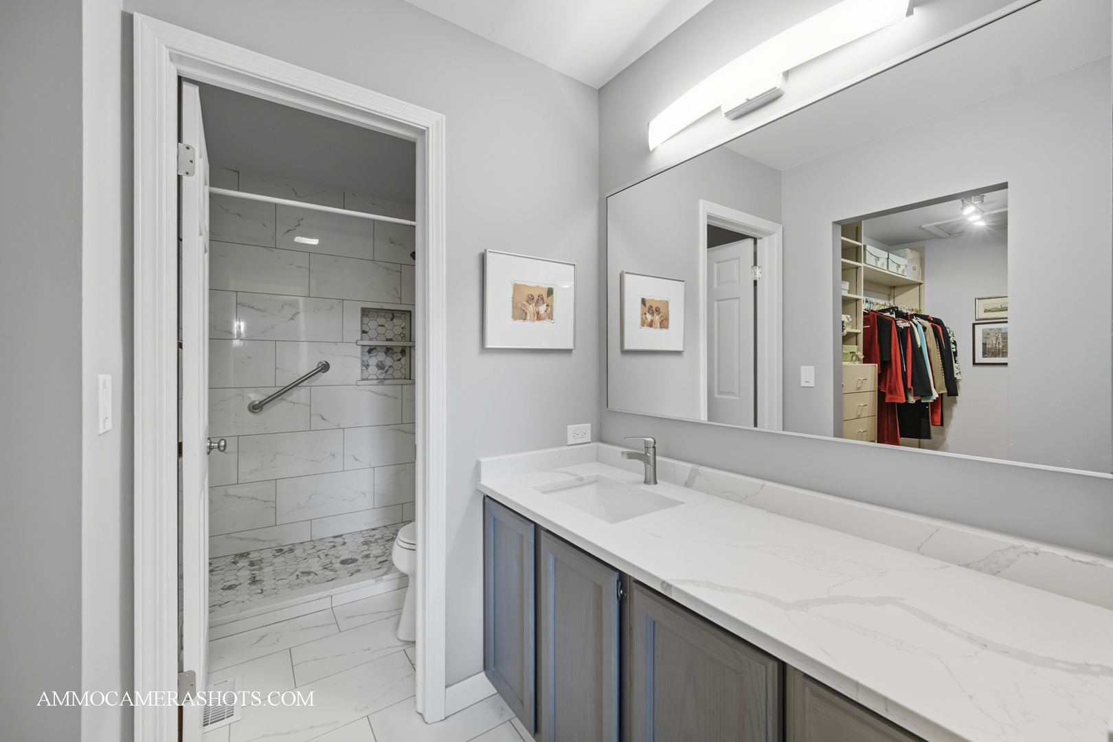 1206 Wheaton Oaks Drive, Wheaton, IL 60187