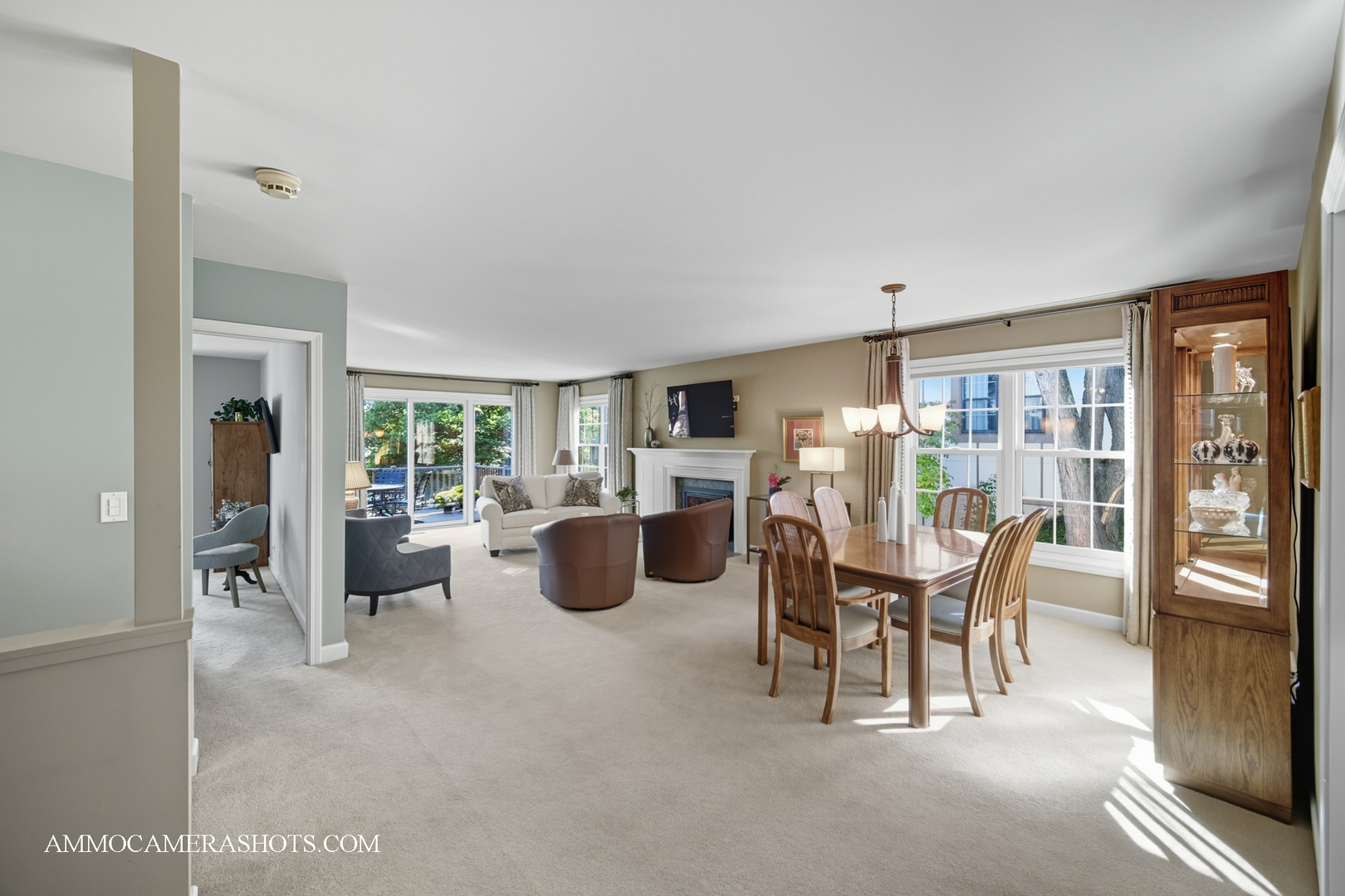 1206 Wheaton Oaks Drive, Wheaton, IL 60187