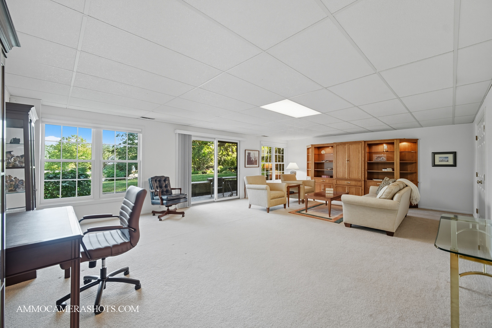1206 Wheaton Oaks Drive, Wheaton, IL 60187