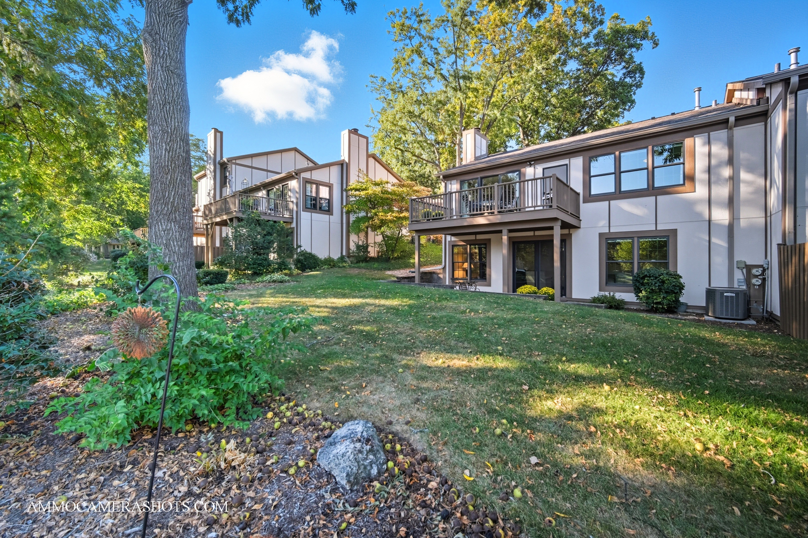 1206 Wheaton Oaks Drive, Wheaton, IL 60187