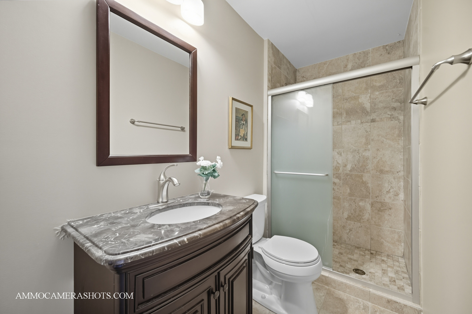 1206 Wheaton Oaks Drive, Wheaton, IL 60187