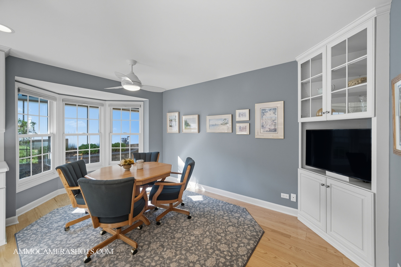 1206 Wheaton Oaks Drive, Wheaton, IL 60187