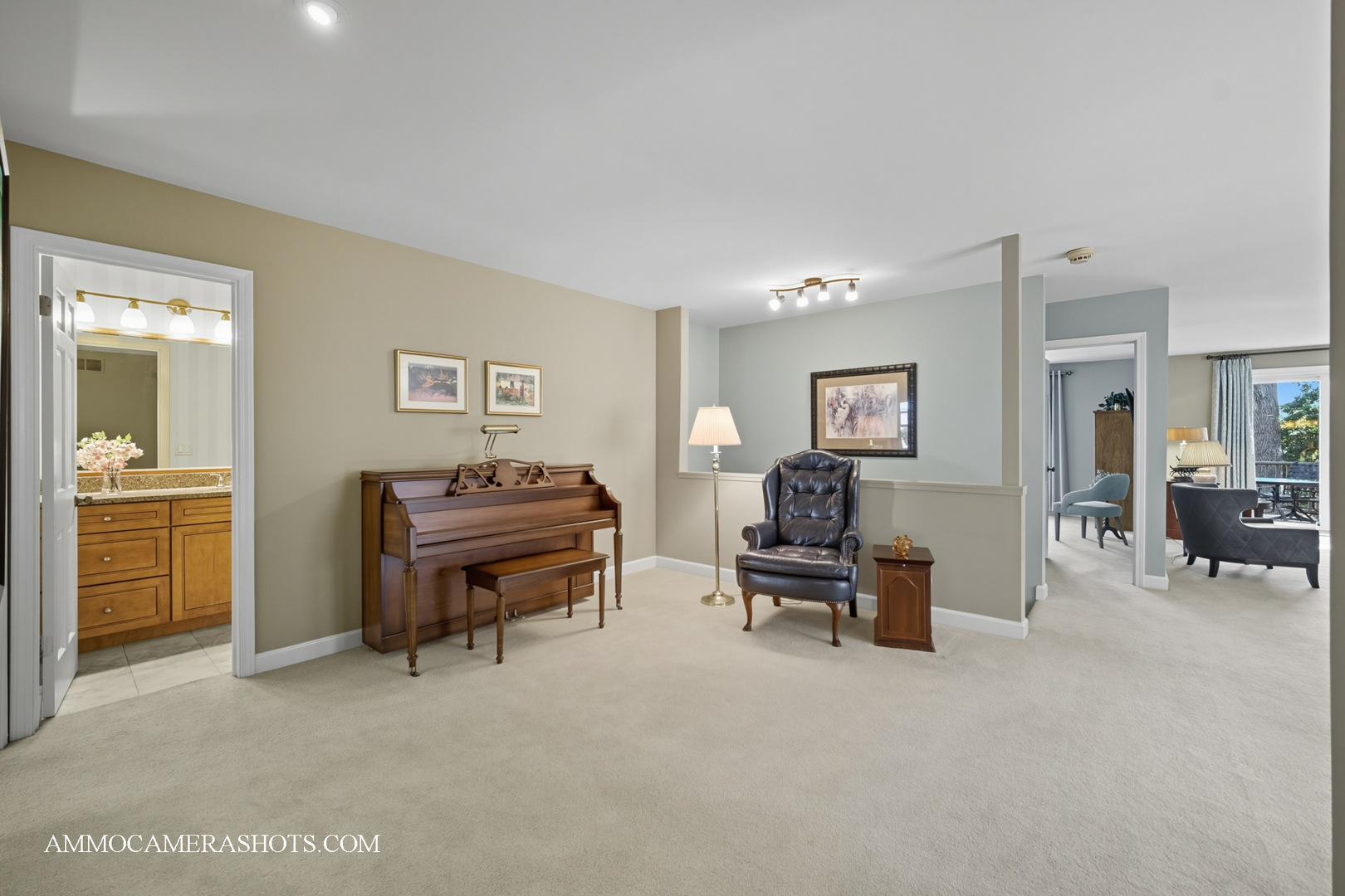 1206 Wheaton Oaks Drive, Wheaton, IL 60187