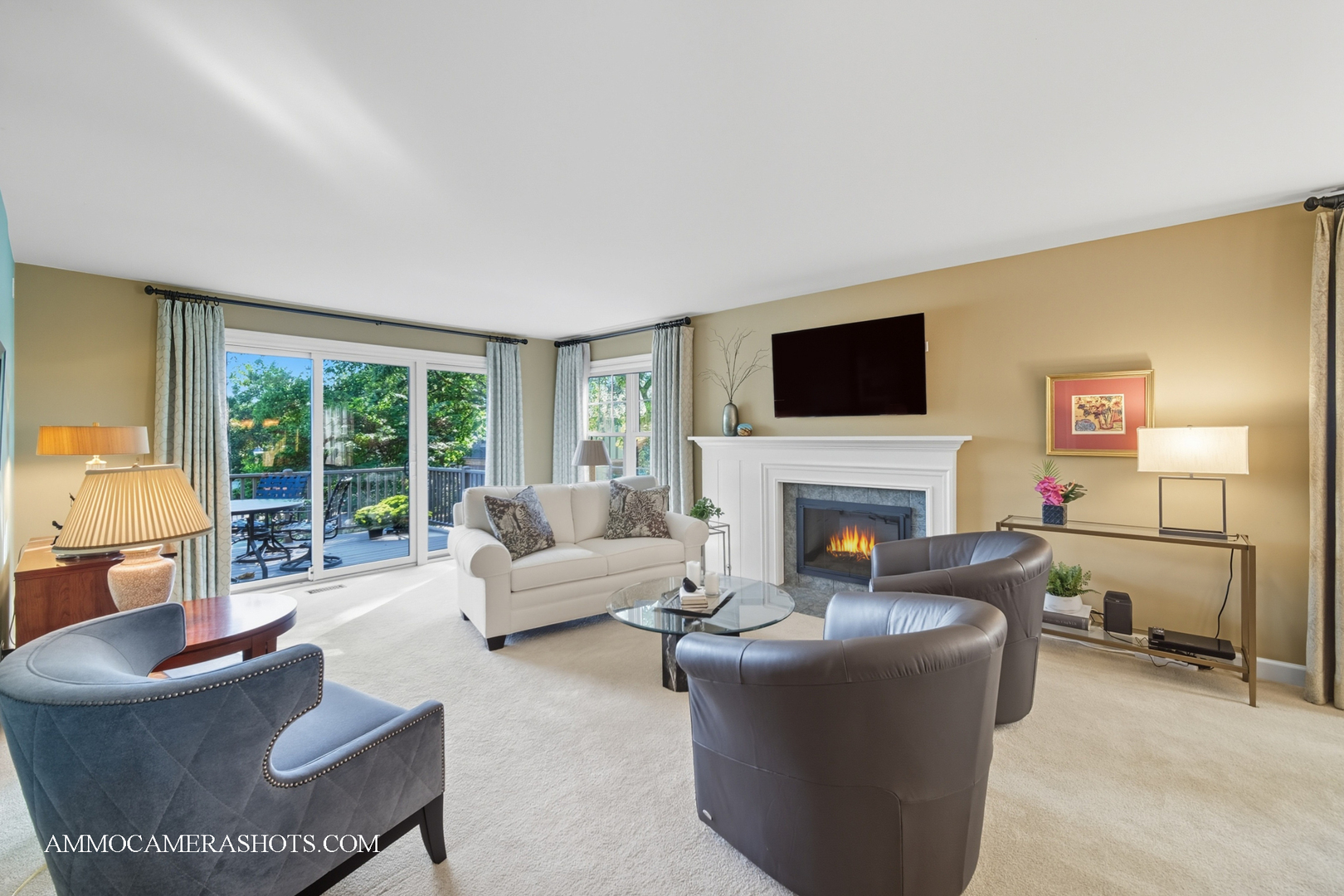 1206 Wheaton Oaks Drive, Wheaton, IL 60187