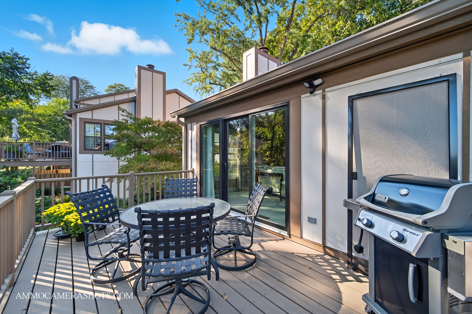1206 Wheaton Oaks Drive, Wheaton, IL 60187