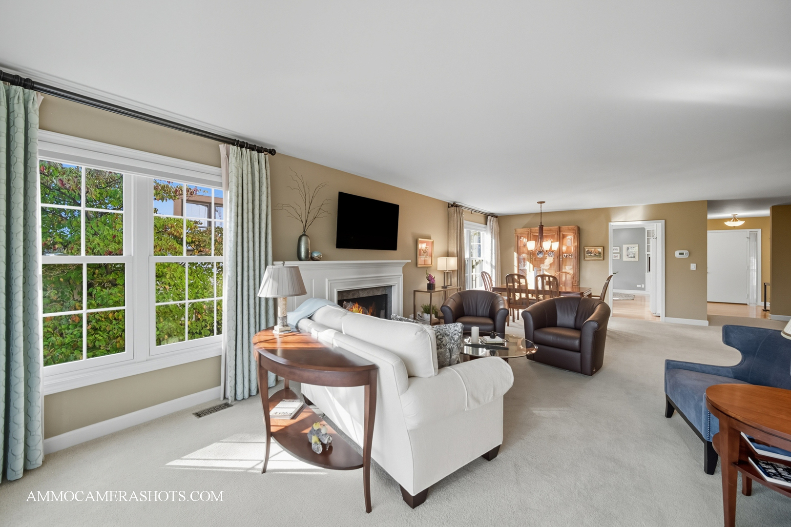 1206 Wheaton Oaks Drive, Wheaton, IL 60187