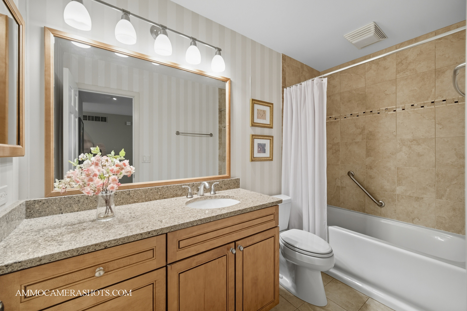 1206 Wheaton Oaks Drive, Wheaton, IL 60187