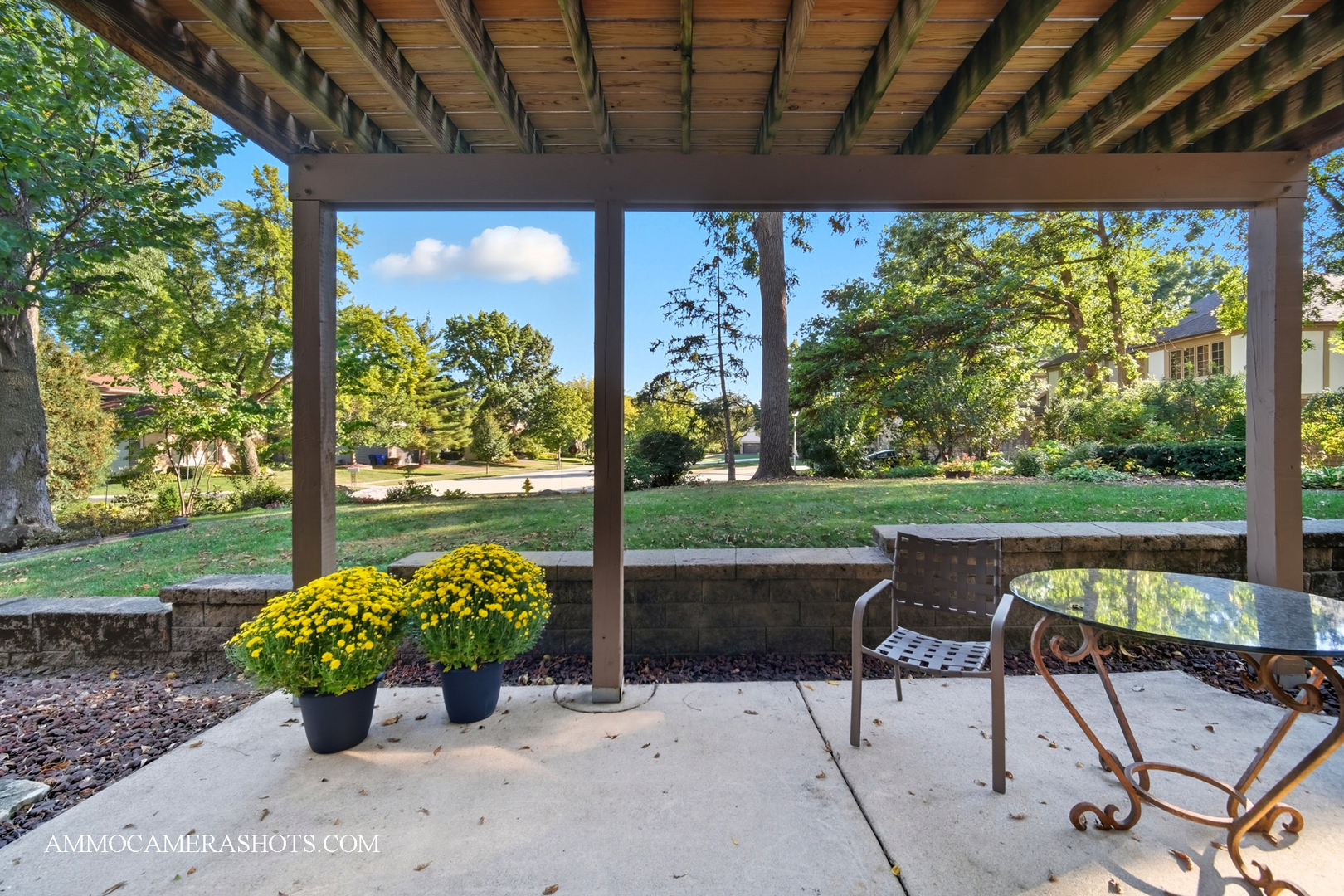 1206 Wheaton Oaks Drive, Wheaton, IL 60187