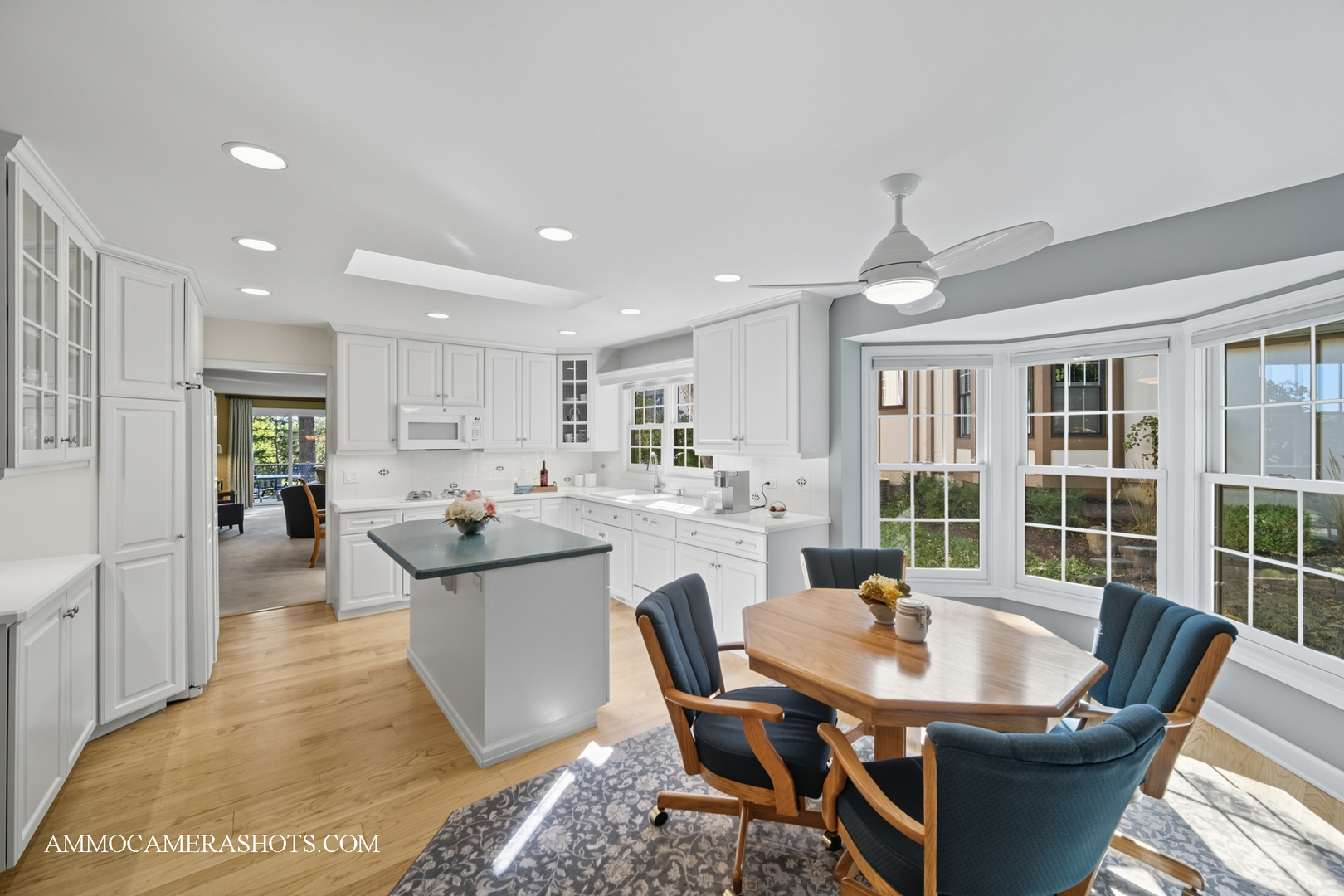 1206 Wheaton Oaks Drive, Wheaton, IL 60187