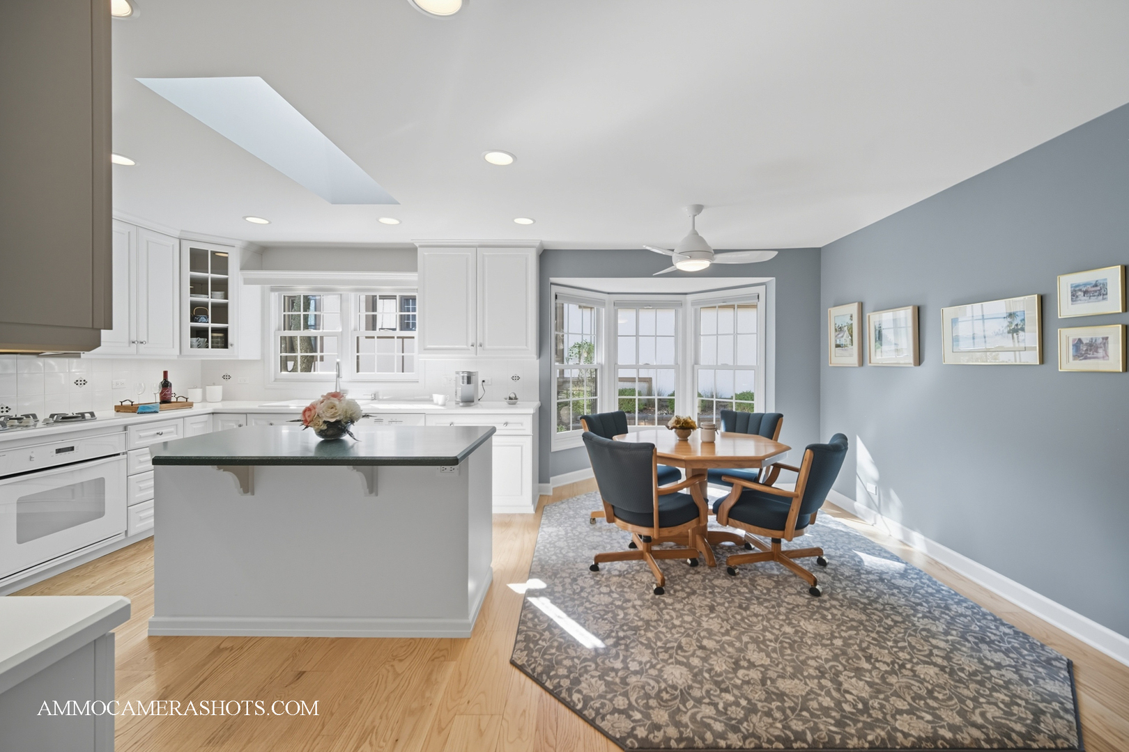 1206 Wheaton Oaks Drive, Wheaton, IL 60187