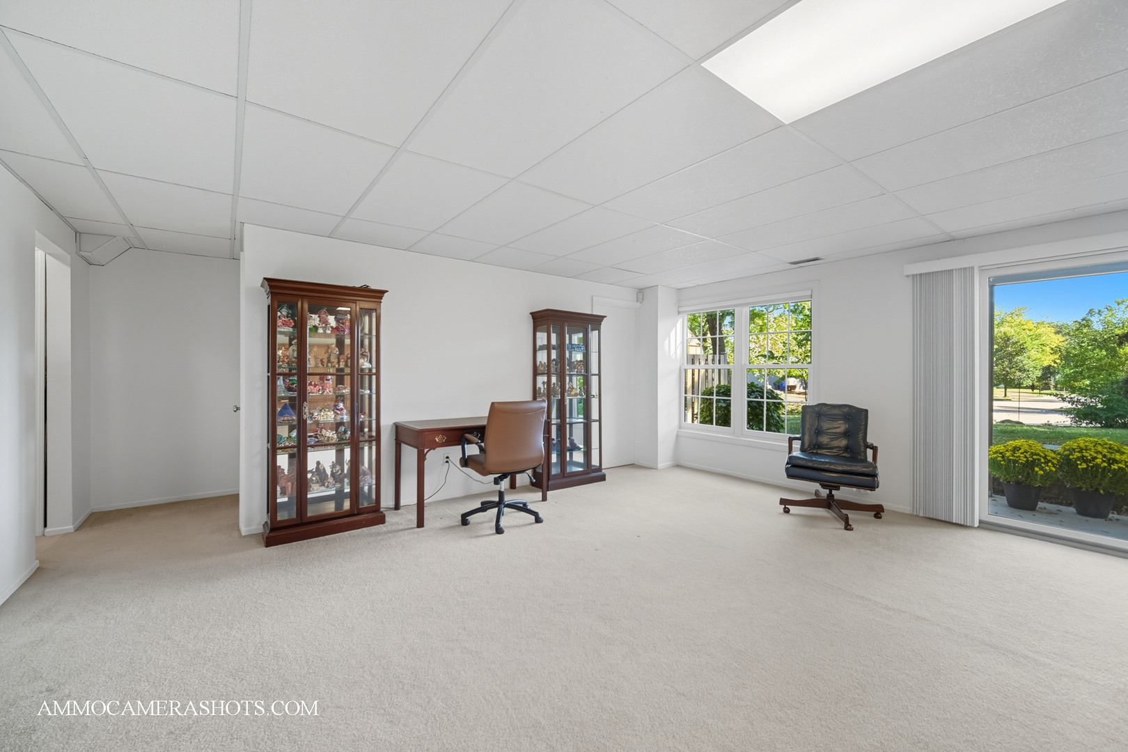 1206 Wheaton Oaks Drive, Wheaton, IL 60187