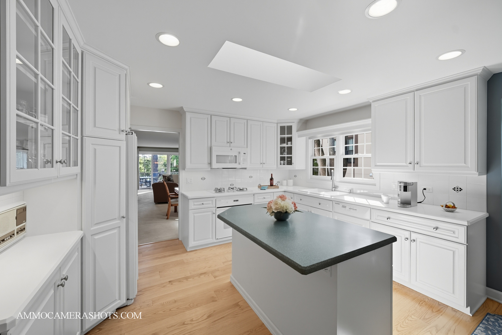 1206 Wheaton Oaks Drive, Wheaton, IL 60187