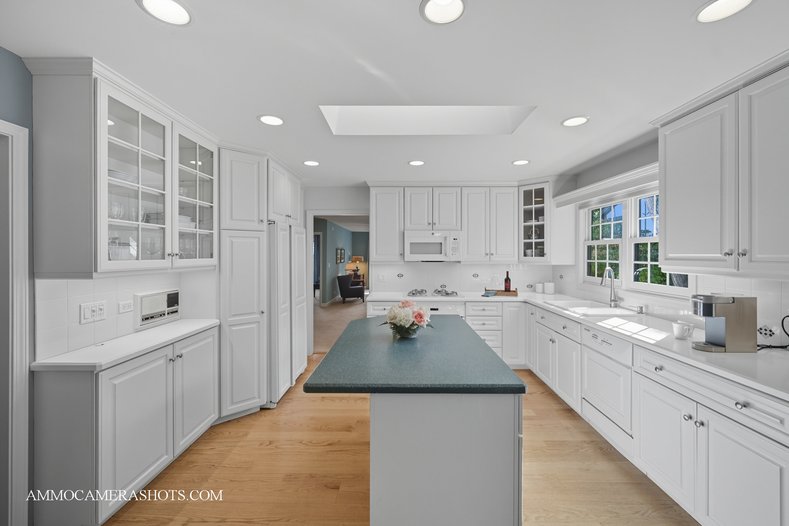 1206 Wheaton Oaks Drive, Wheaton, IL 60187