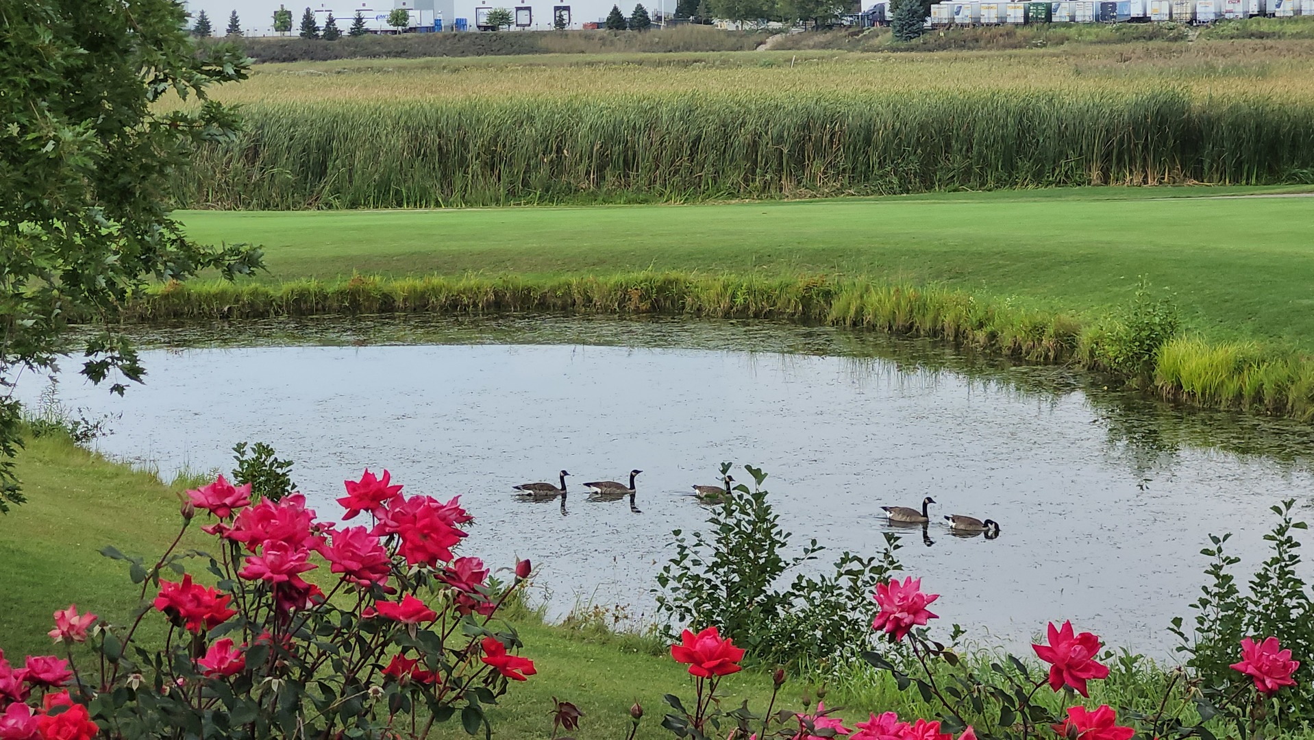 21103 W Cypress Court, Plainfield, IL 60544