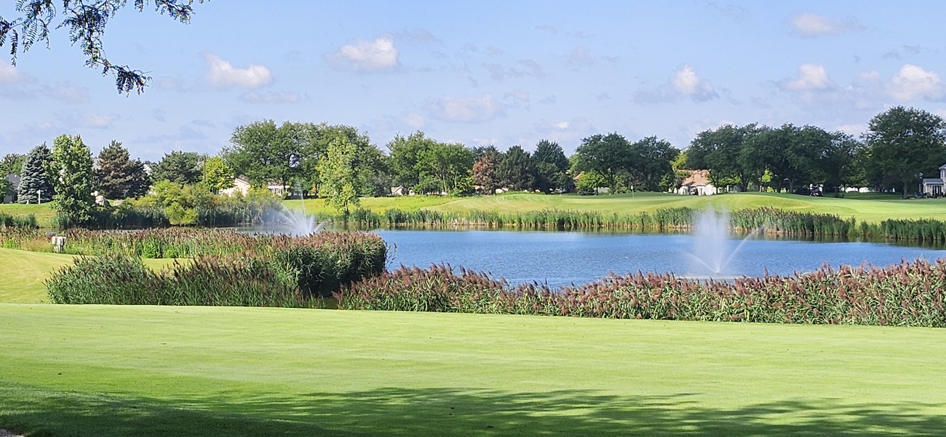 21103 W Cypress Court, Plainfield, IL 60544