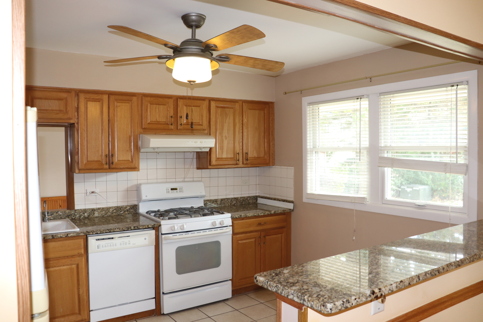 1133 E SAYLES Drive, Palatine, IL 60074