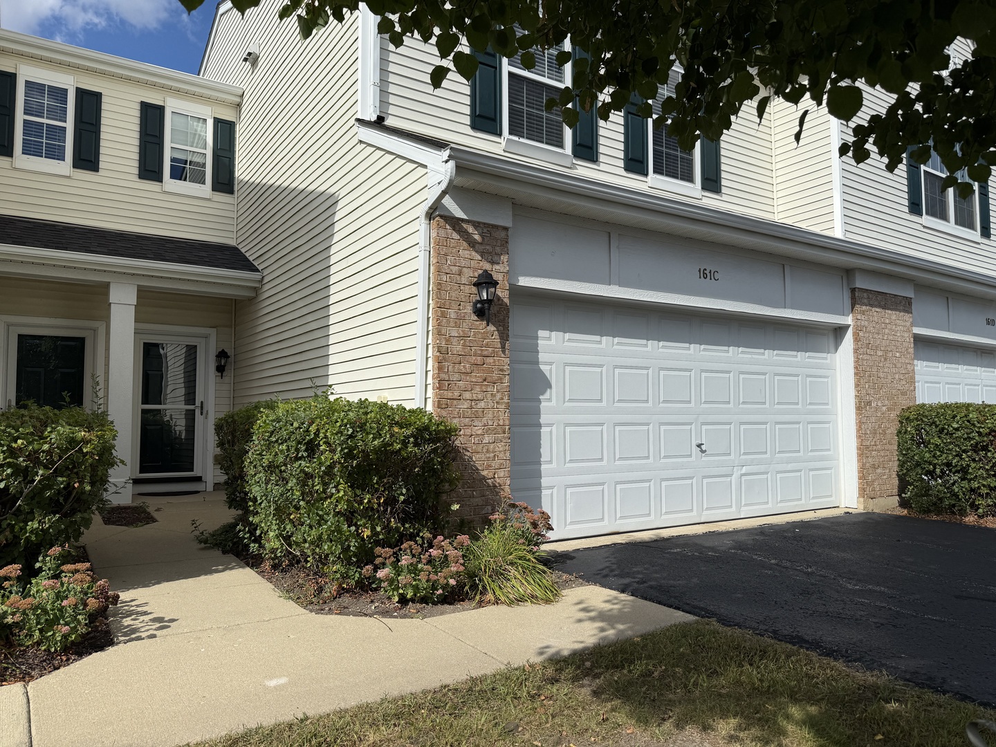 161 Willoughby Court, Yorkville, IL 60560