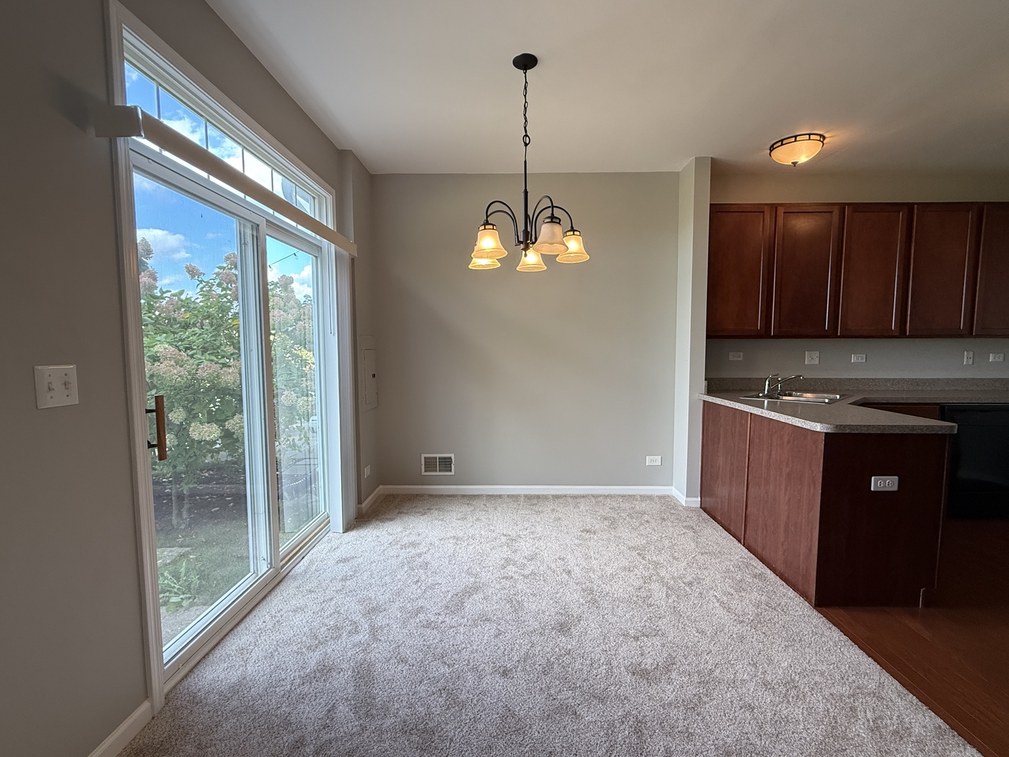 161 Willoughby Court, Yorkville, IL 60560