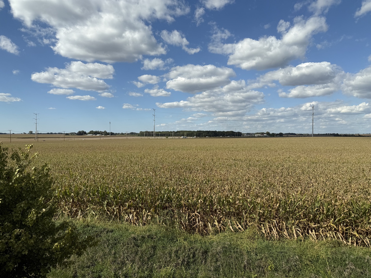 161 Willoughby Court, Yorkville, IL 60560