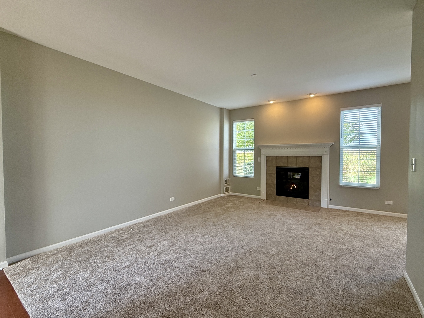 161 Willoughby Court, Yorkville, IL 60560