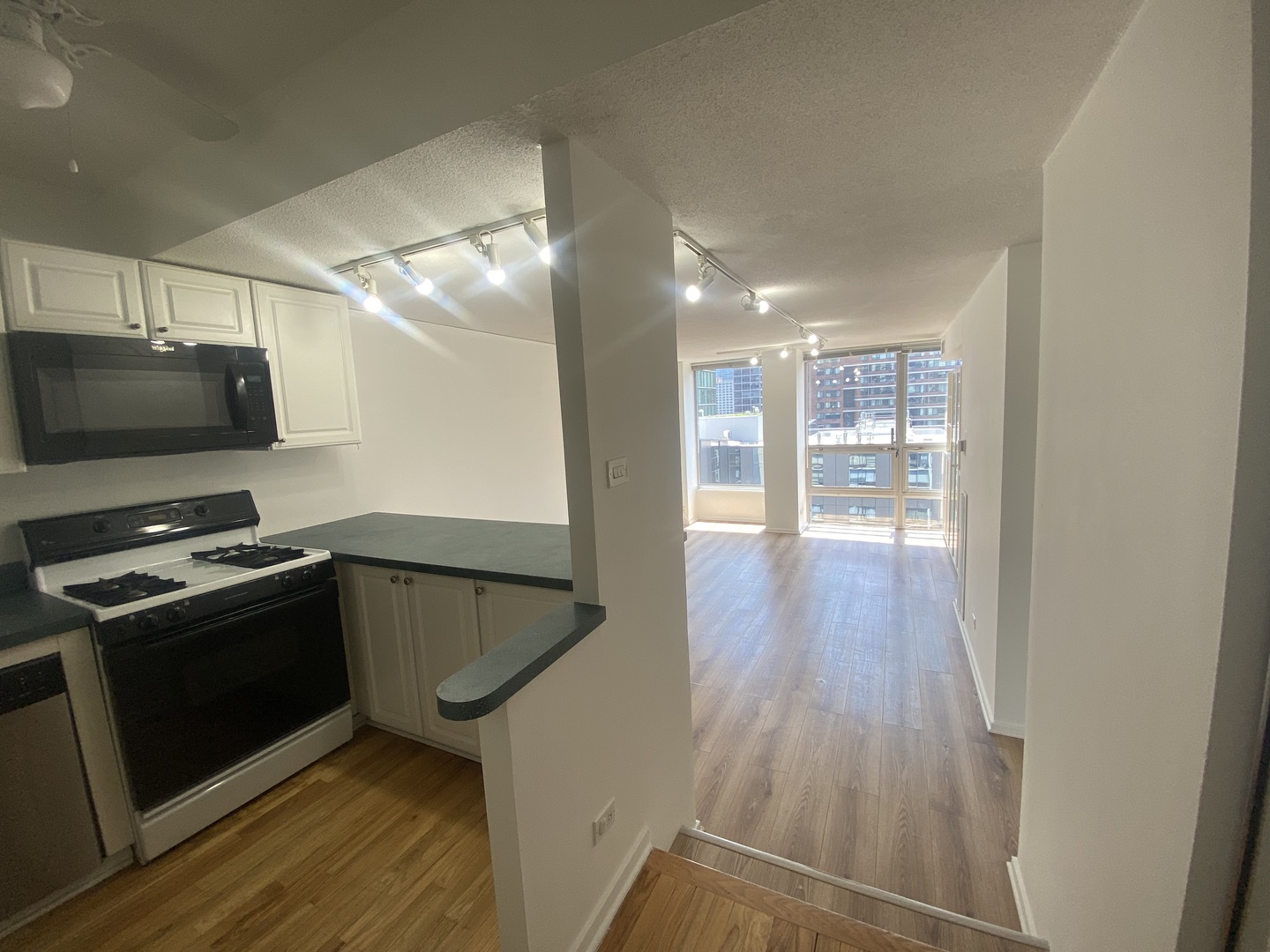 230 E Ontario Street #2304, Chicago, IL 60611
