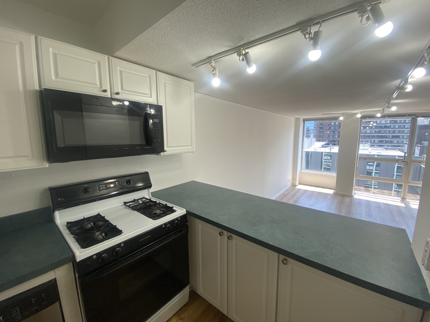 230 E Ontario Street #2304, Chicago, IL 60611