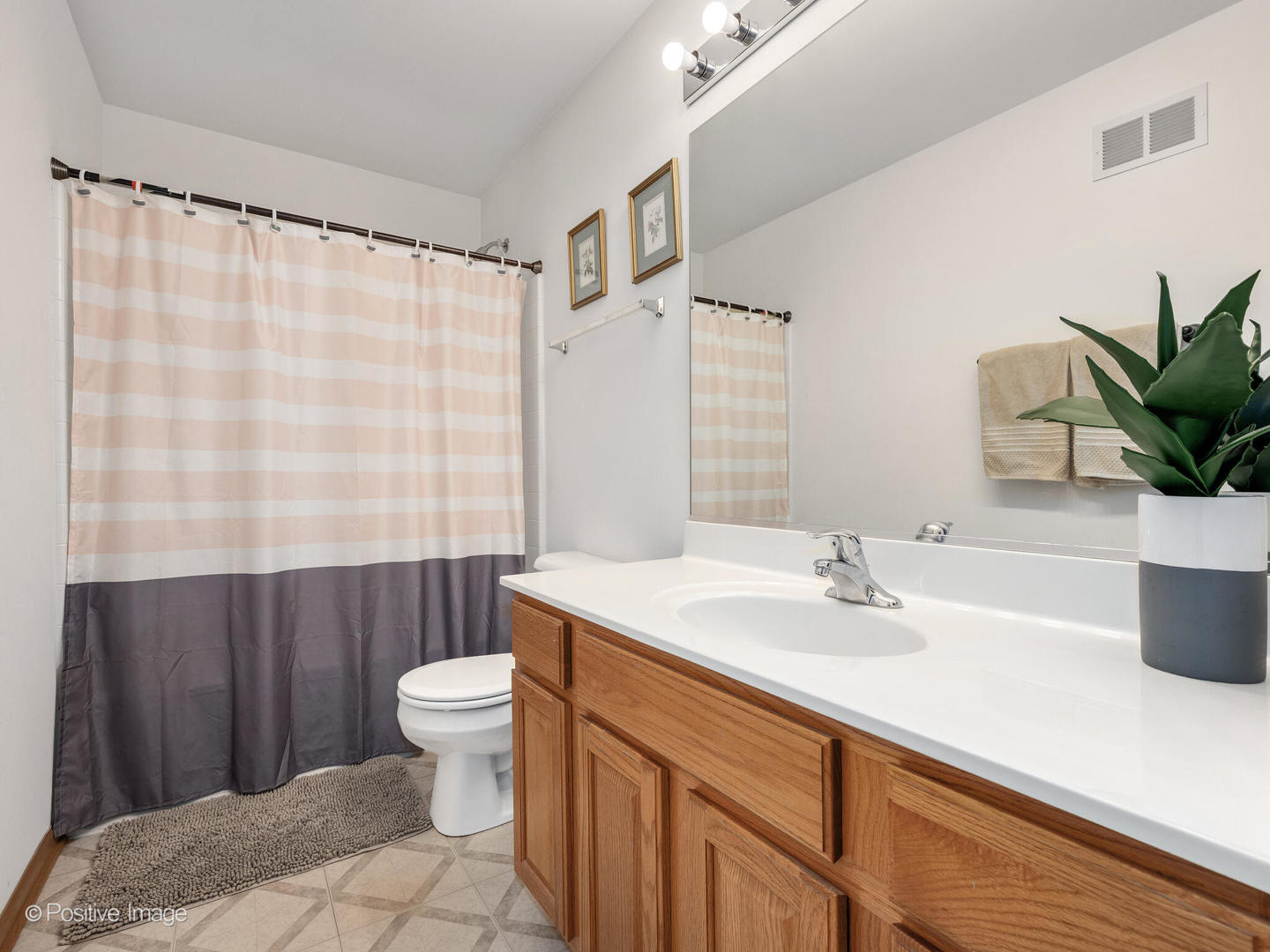1678 WALNUT PARK Lane, Aurora, IL 60504