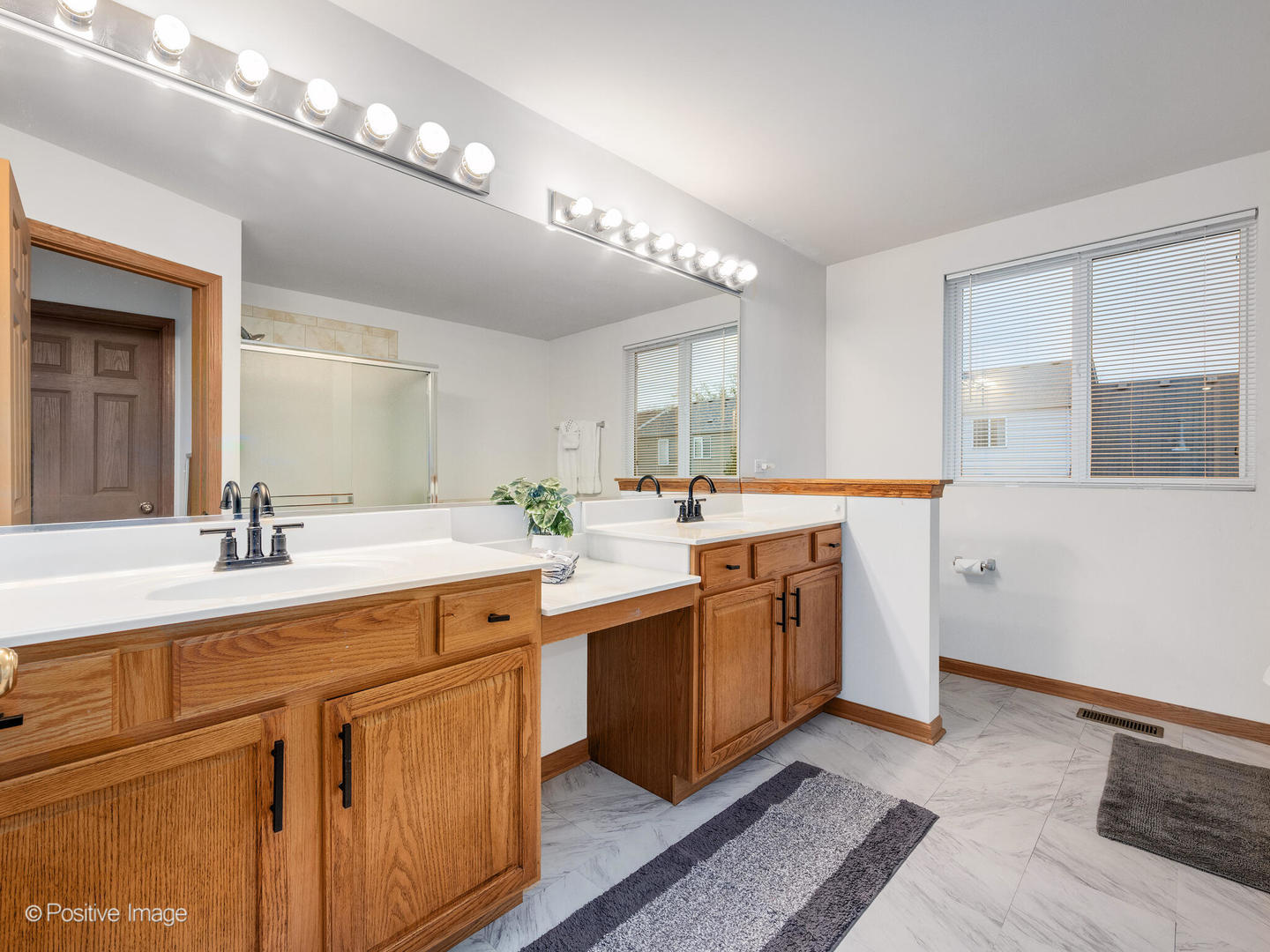 1678 WALNUT PARK Lane, Aurora, IL 60504