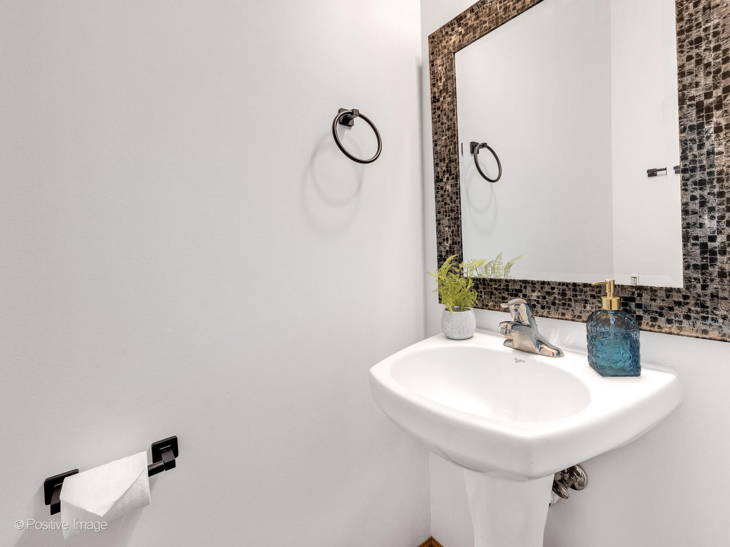 1678 WALNUT PARK Lane, Aurora, IL 60504