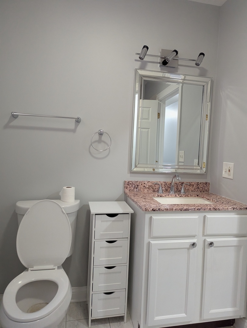 4451 S Indiana Avenue #2N, Chicago, IL 60653