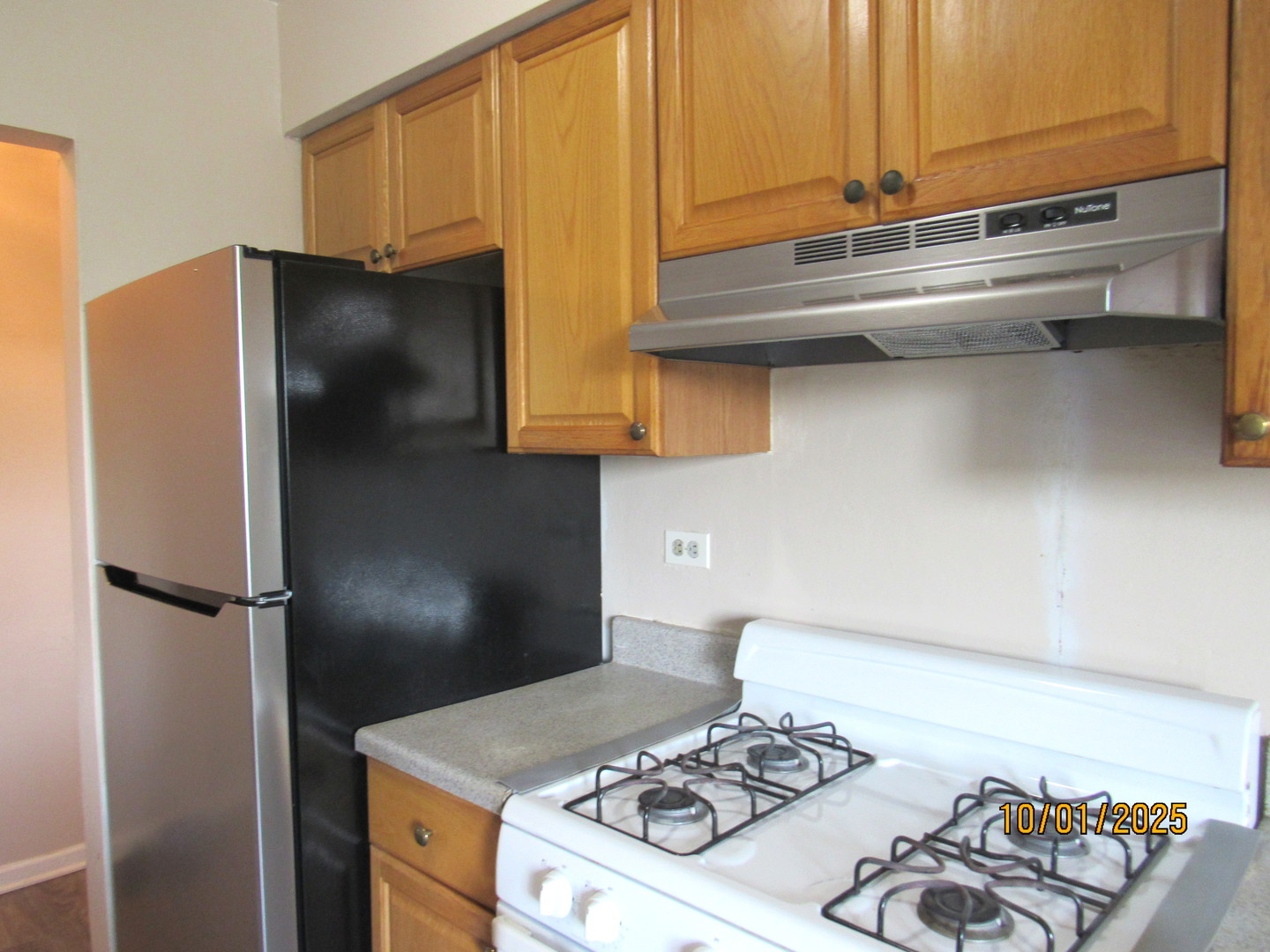 1156 Copperfield Lane #C, Schaumburg, IL 60193