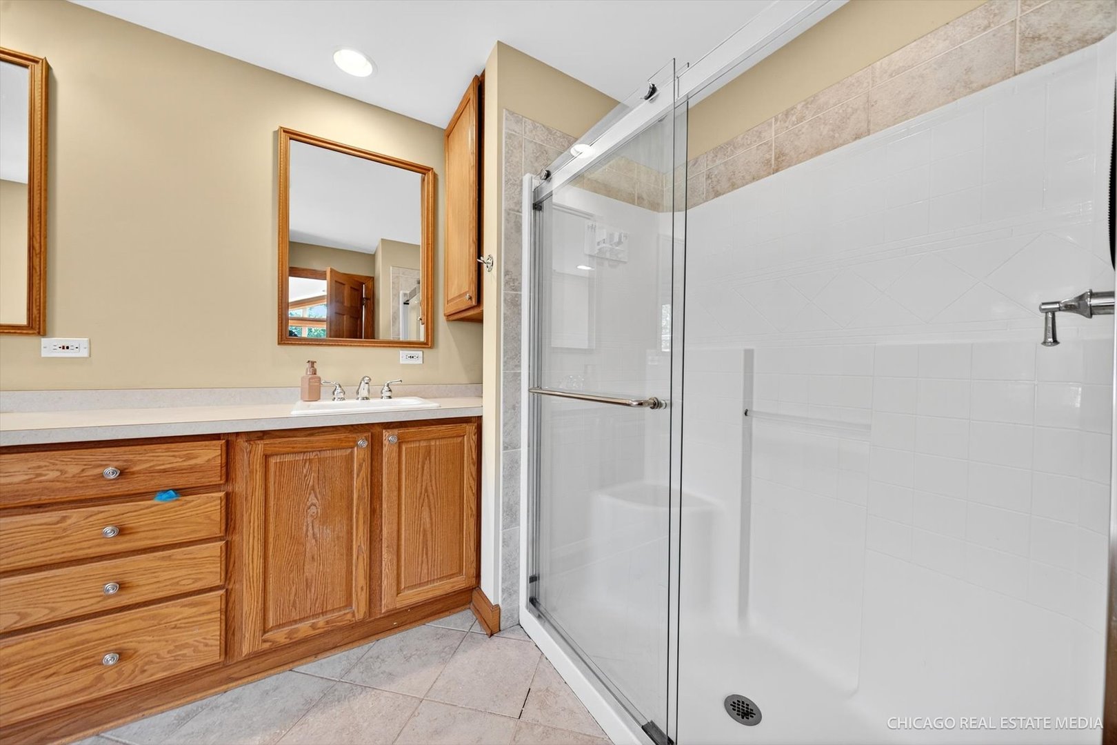 225 Elmwood Drive, Naperville, IL 60540