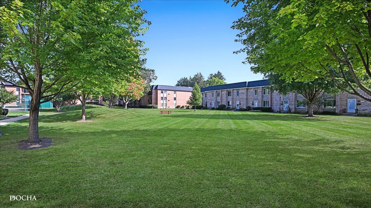 1016 N Mill Street #5, Naperville, IL 60563