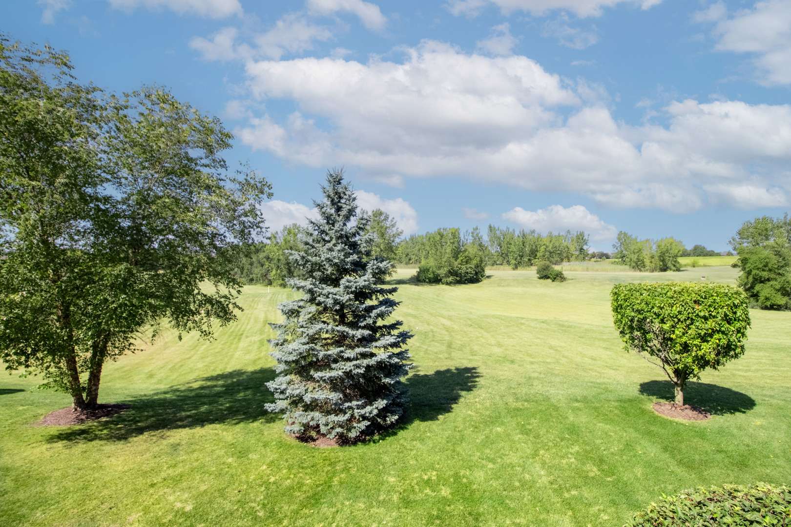 9058 Newcastle Court, Tinley Park, IL 60487