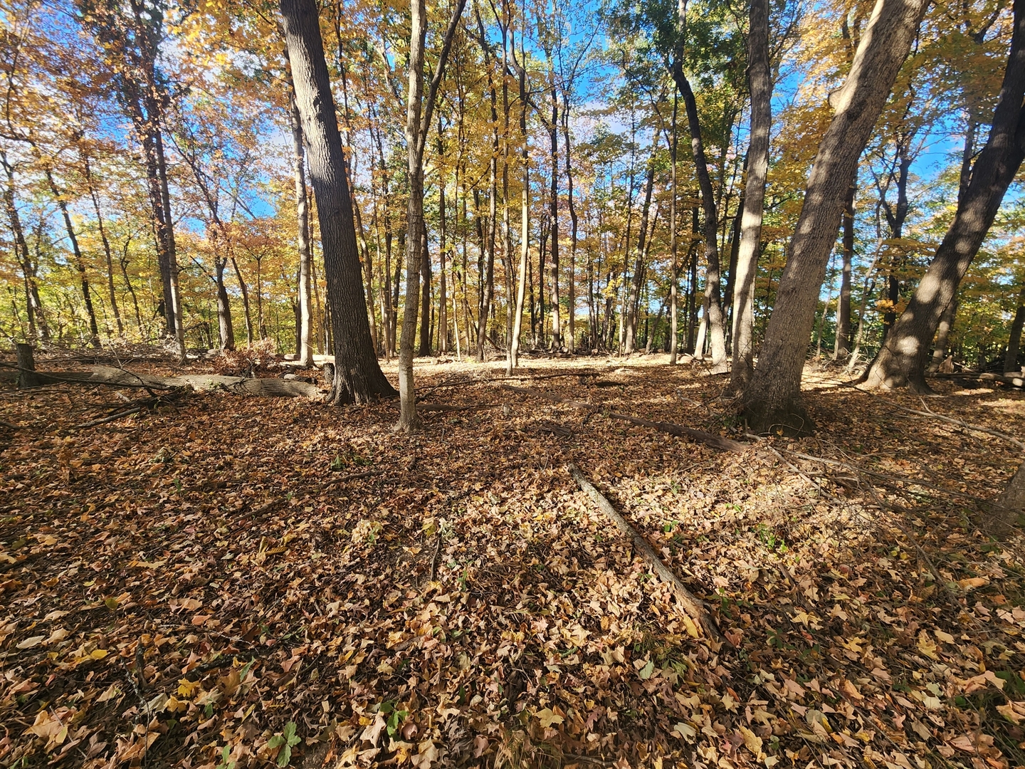 Lot 1783/84 Blueberry Drive, Varna, IL 61375