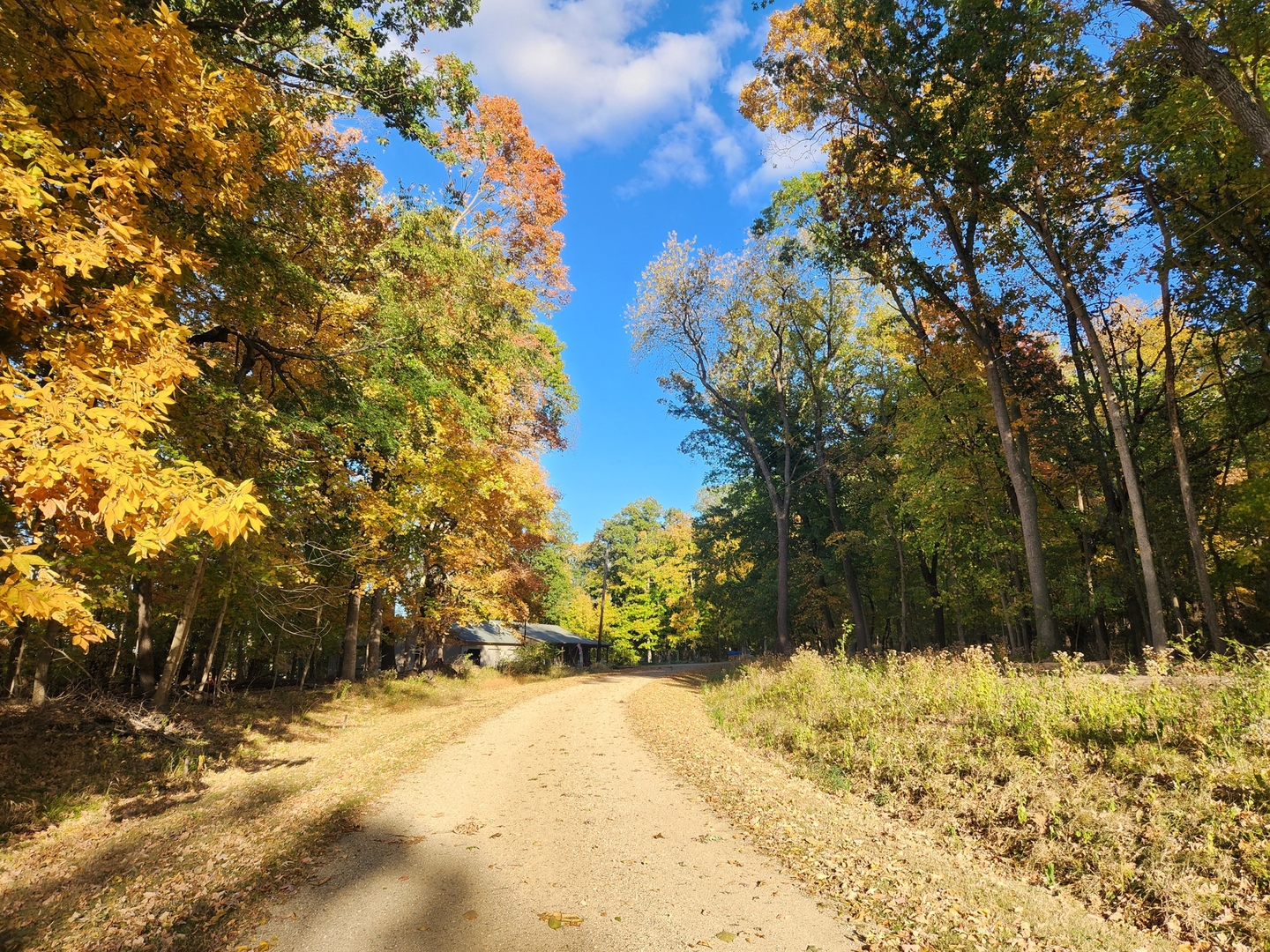 Lot 1783/84 Blueberry Drive, Varna, IL 61375