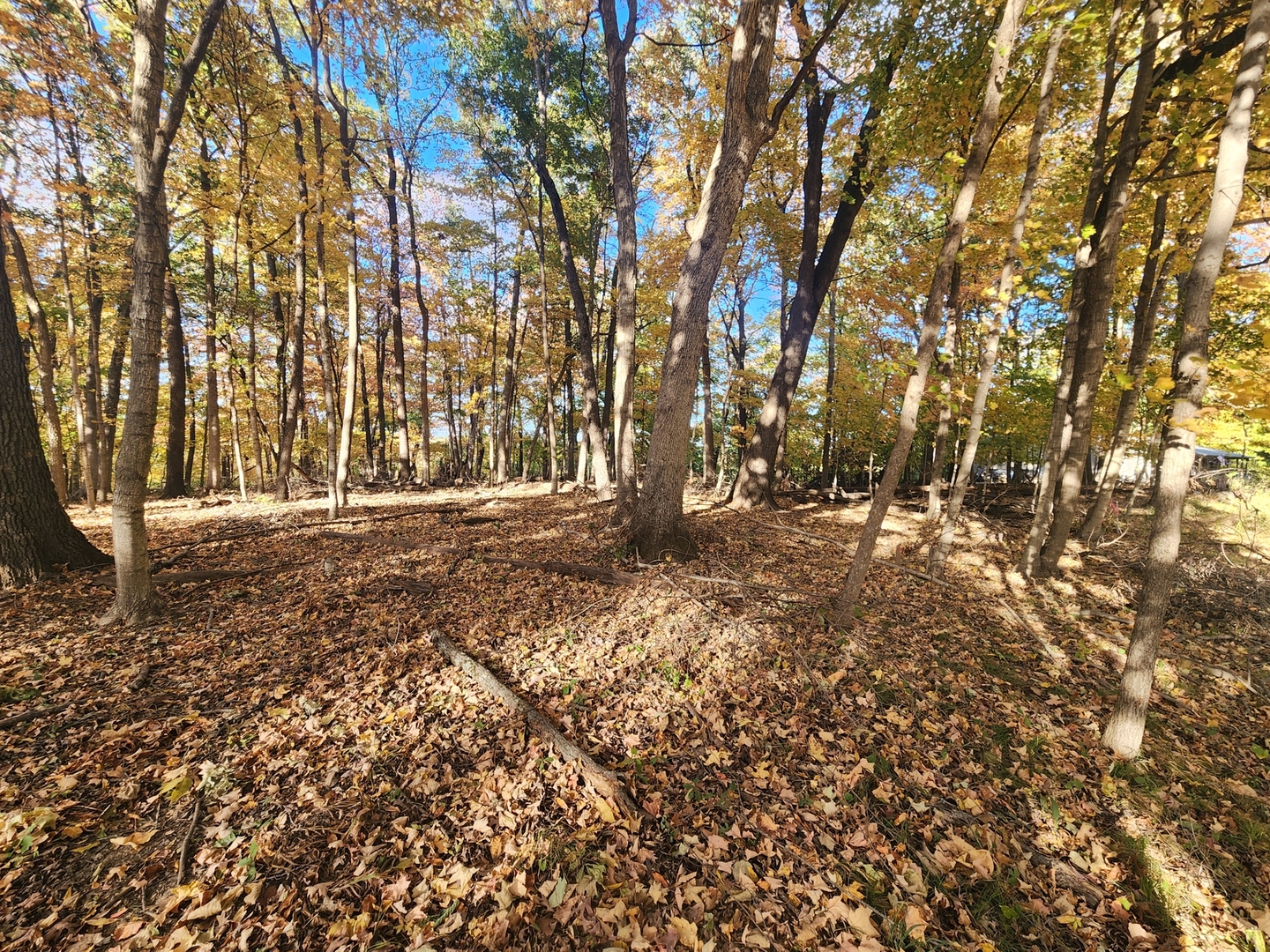 Lot 1783/84 Blueberry Drive, Varna, IL 61375