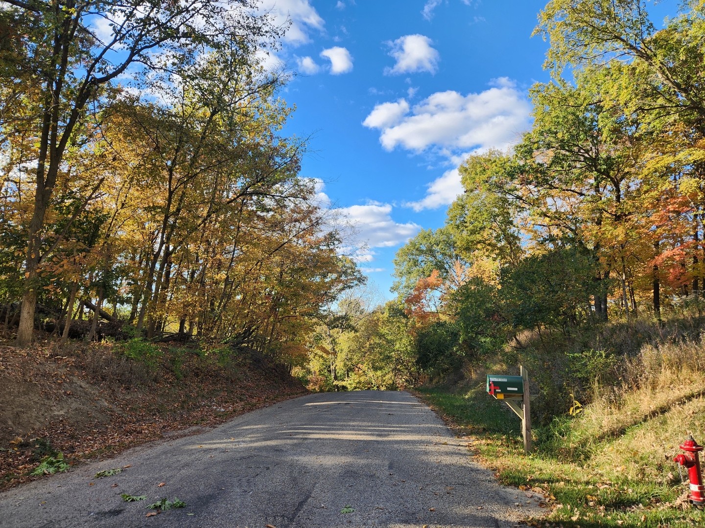 Lot 1783/84 Blueberry Drive, Varna, IL 61375
