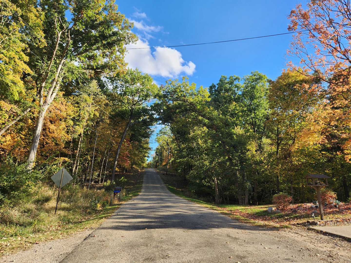 Lot 1783/84 Blueberry Drive, Varna, IL 61375