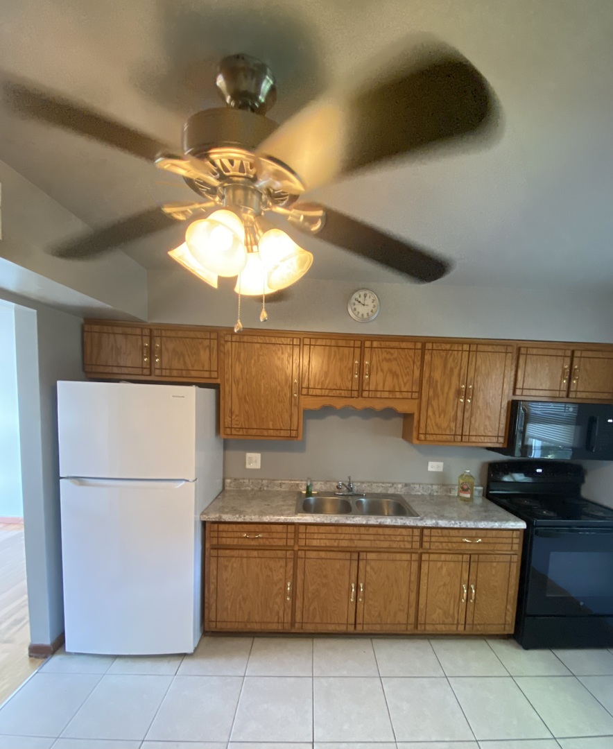 18231 Morgan Street #2N, Homewood, IL 60430