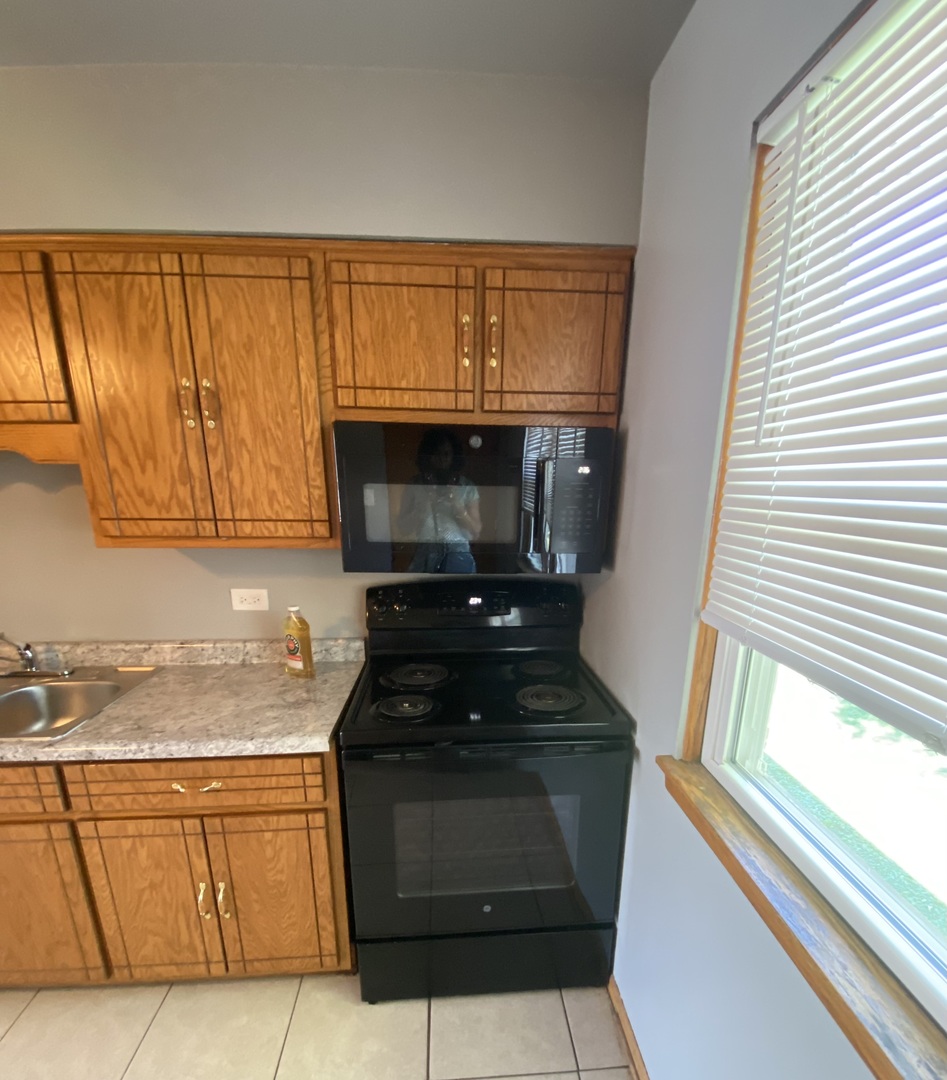 18231 Morgan Street #2N, Homewood, IL 60430