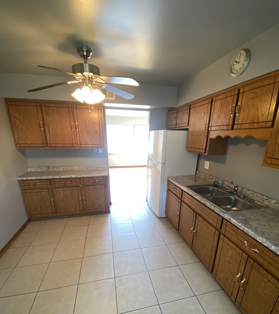 18231 Morgan Street #2N, Homewood, IL 60430