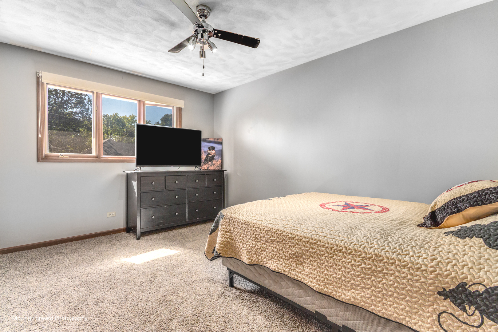 519 OAK Drive, East Dundee, IL 60118