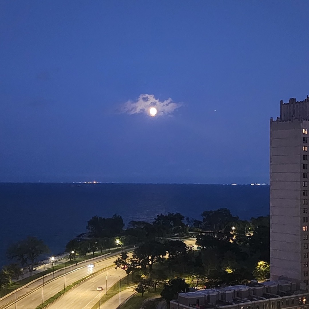 4800 S Chicago Beach Drive #1811S, Chicago, IL 60615